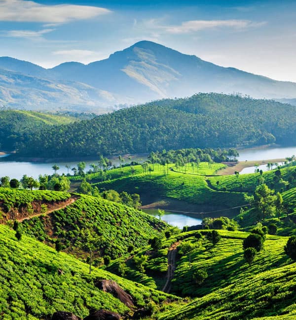 A view of Kerala