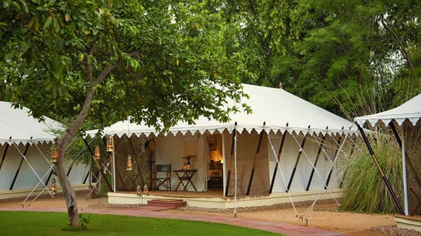 SUJÁN Sher Bagh
